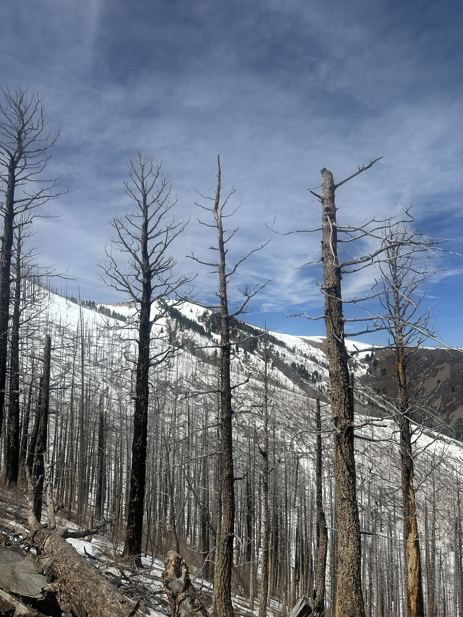 United States-National Parks-Other - Image 3045